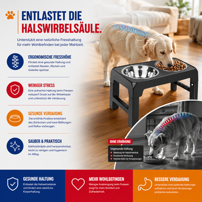 Erhöhte Futterstation mit Edelstahlnäpfen – Rückenschonend & höhenverstellbar